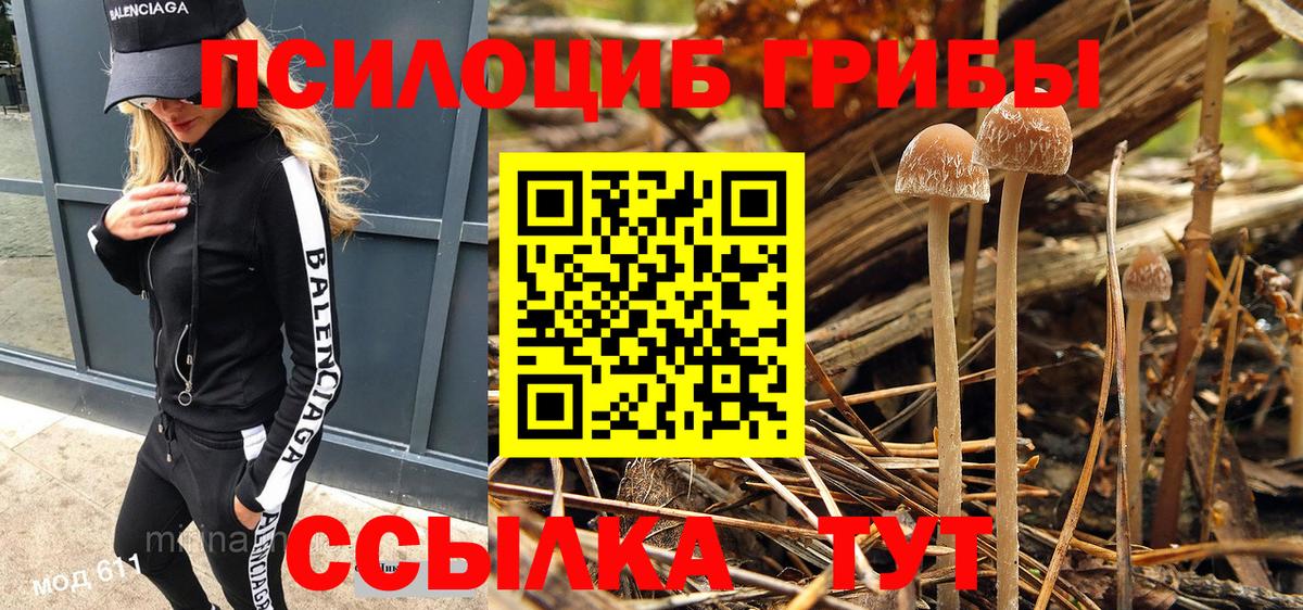 Галлюциногенные грибы прущие грибы Ухта