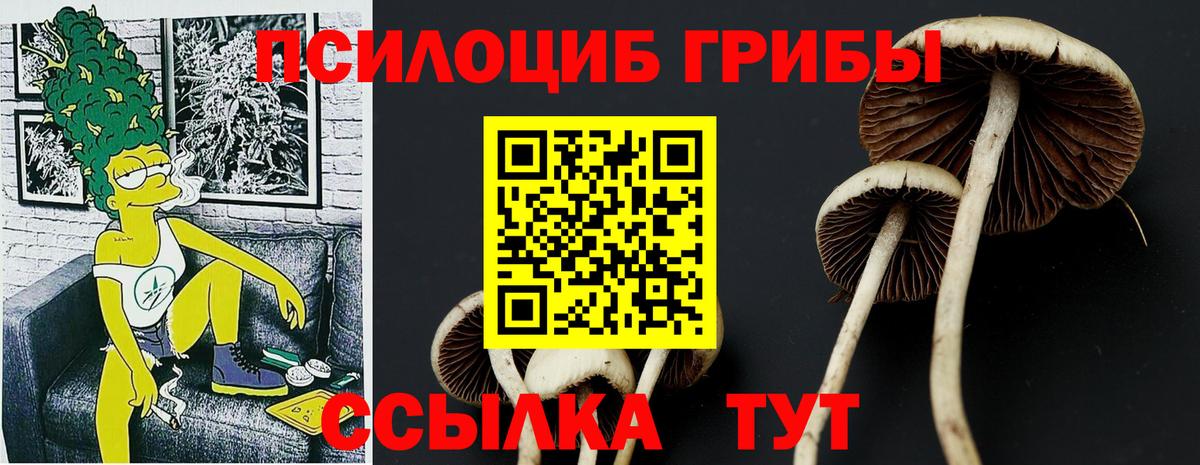 Галлюциногенные грибы Psilocybe  Галлюциногенные грибы Psilocybe  Вход с VPN  Ухта 